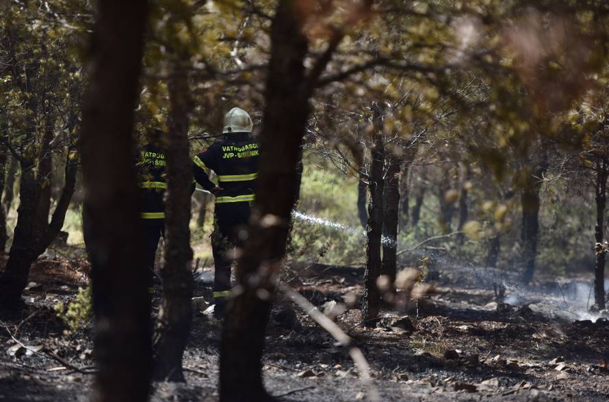 U Žaboriću gori borova šuma, vatrena stihija prijeti kućama