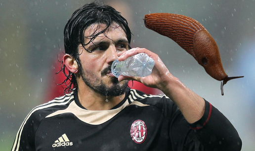 Zambrotta: Gattuso je za 5000 eura pojeo pu&zcaron;a gola&cacute;a s trave