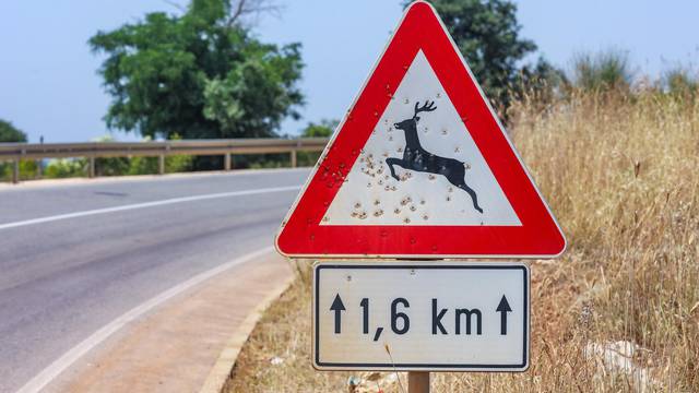 Pula: Neodgovornom lovcu prometni znak opasnosti "Divljač na cesti" poslužio za vježbu gađanja
