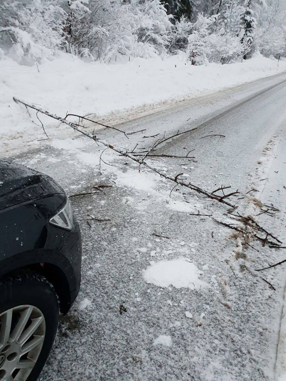 Strašna oluja u Alpama: Sedam ljudi poginulo, nekoliko nestalo