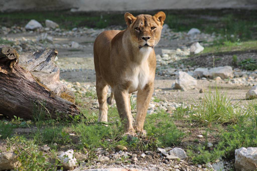 Zoo Zagreb