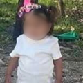 Pronašli nestalu djevojčicu (2) u Srbiji. Tragali cijelu noć, našao ju je potražni pas: 'Promrzla je'