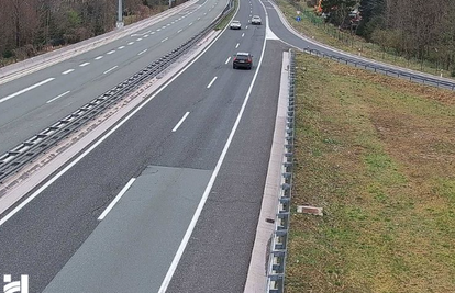 OPREZ, VOZAČI! Medo je na A6