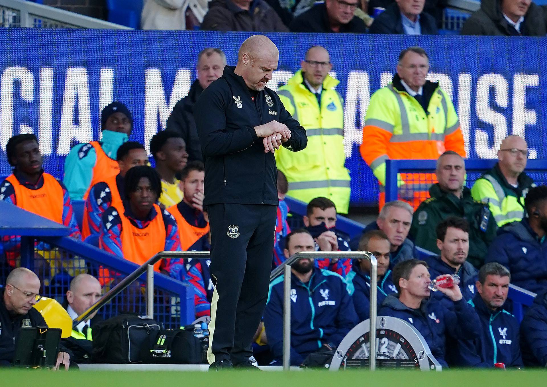 Everton v Crystal Palace - Premier League - Goodison Park