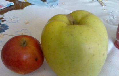 U Đurđevcu rastu jabuke teške gotovo kilogram