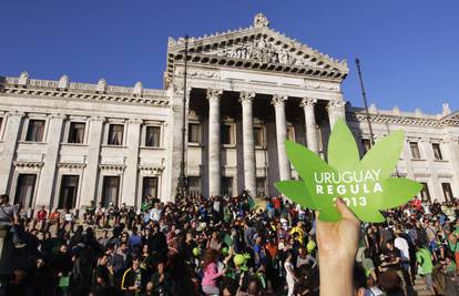 Slavili na ulicama: Urugvaj je legalizirao prodaju marihuane