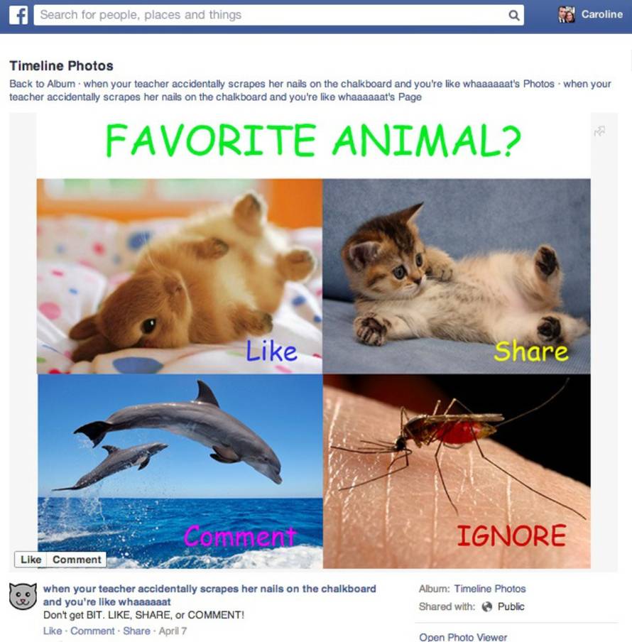 Facebook
