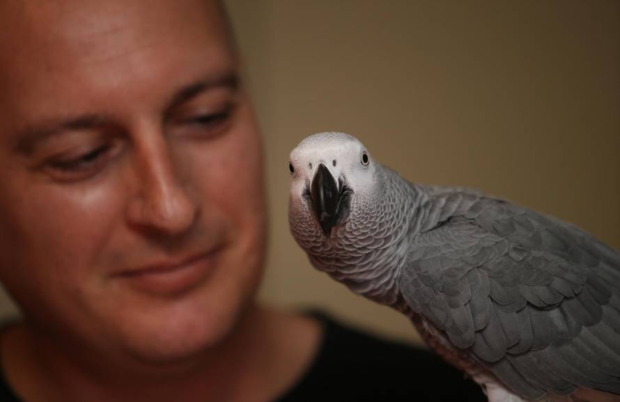 Hugo upozorava svog vlasnika: 'Ako već ideš van, stavi masku'