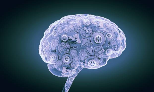 Mechanism inside human brain . Mixed media