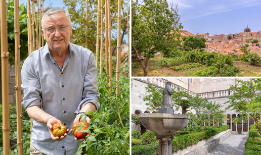 FOTO Pogledajte kako svećenici u srcu Dubrovnika uzgajaju rajčice, krumpir i grožđe za vino