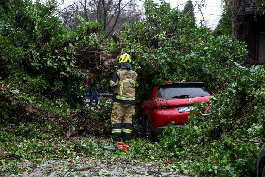 Zagreb: Drvo palo na automobile