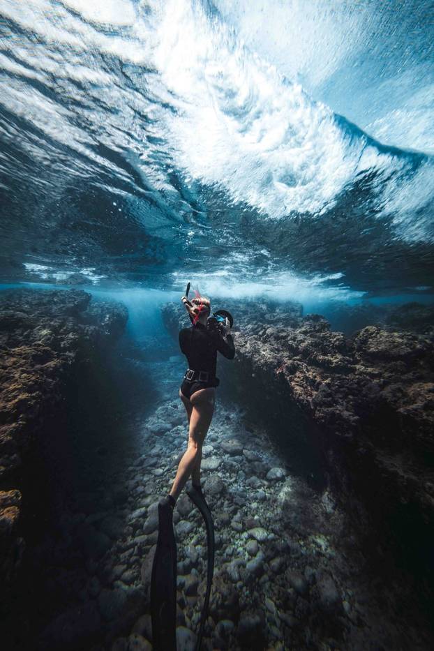 Brave diver swims inches from 40-tonne humpback whale called Scratch