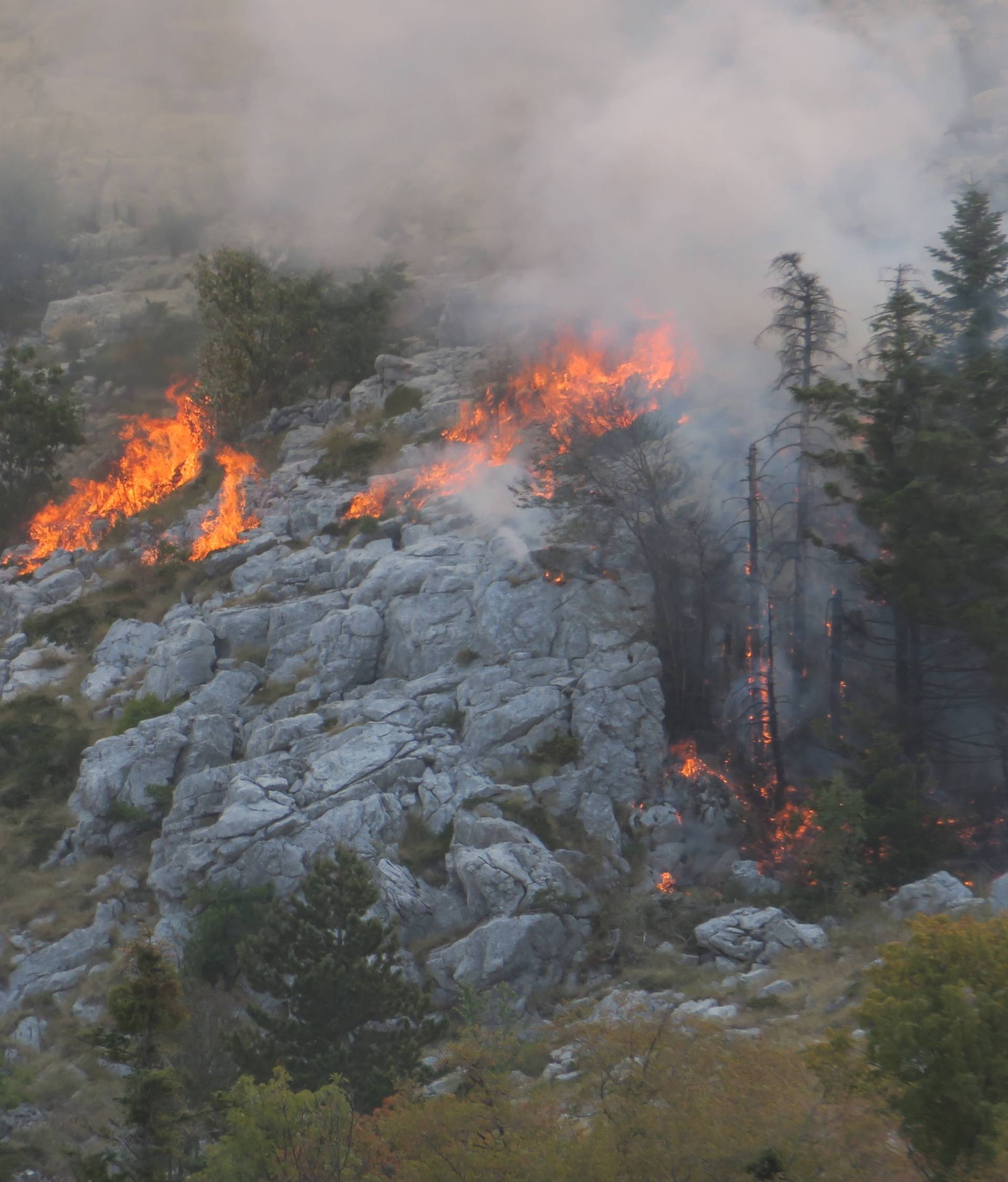 Nemoćni su: Samo kiša može spasiti biokovske endeme...