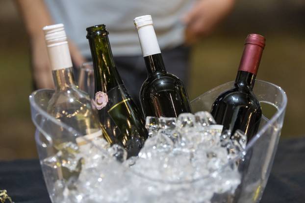 Ilok: Otvorenje 58. Iločke berbe grožđa