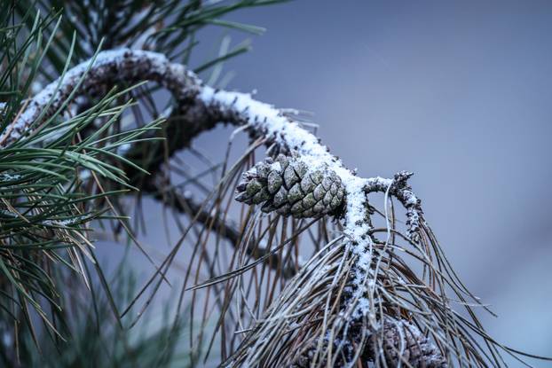 Snijeg je počeo padati i u Zagrebu