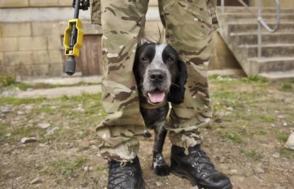 Ljubav vojnika i psa: Pronašli  su jedan drugog u Afganistanu
