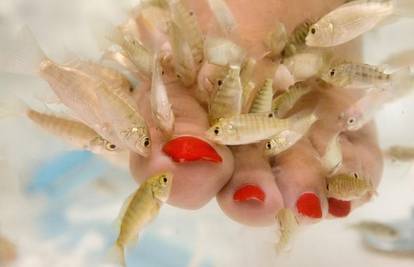 Pedikura ribicama zabranjena u SAD-u radi kožnih infekcija