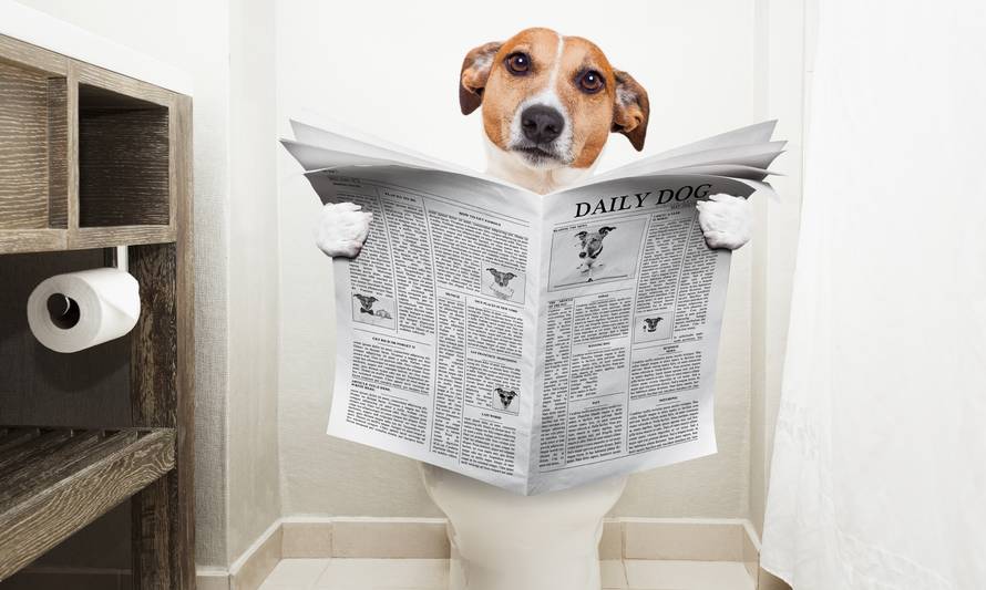 11 stvari koje vam vaša stolica pokušava reći o vašem zdravlju