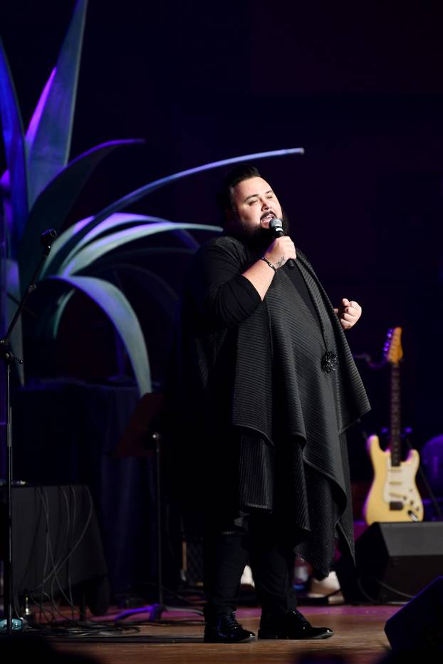 Zagreb: U Lisinskom održan koncert "Tomislav Ivčić - 30 godina nakon" 