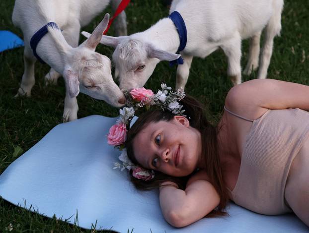 People practice yoga with baby goats in Moscow