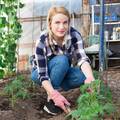 Nije teško: U pet koraka do zdravlja iz organskog vrta