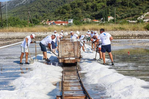 Berba soli u Stonskoj solani