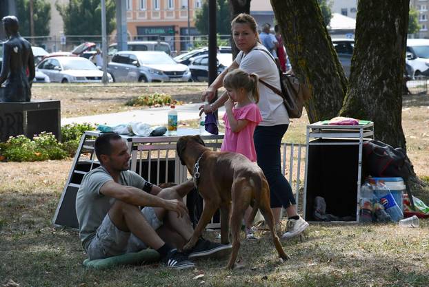 Požega: Nacionalna izložba pasa "CAC Požega 2024."