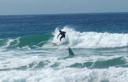 Morski pas ubio surfera koji je izignorirao istaknute zabrane!