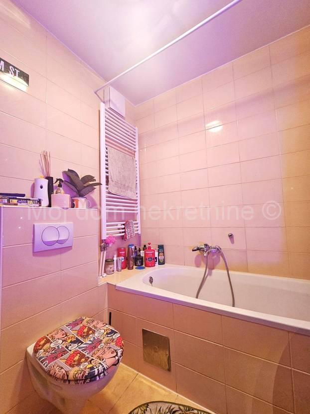 FOTO Prodaje se 'egzotični' stan u Zagrebu. Flamingosi, palme i disco u 36m2! Cijena mu je hit...