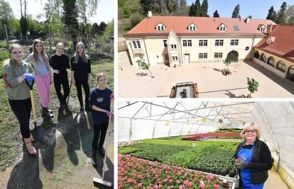 Škola koja zadivljuje: 'Naši učenici imaju konje, traktore i đački dom u pravome dvorcu'