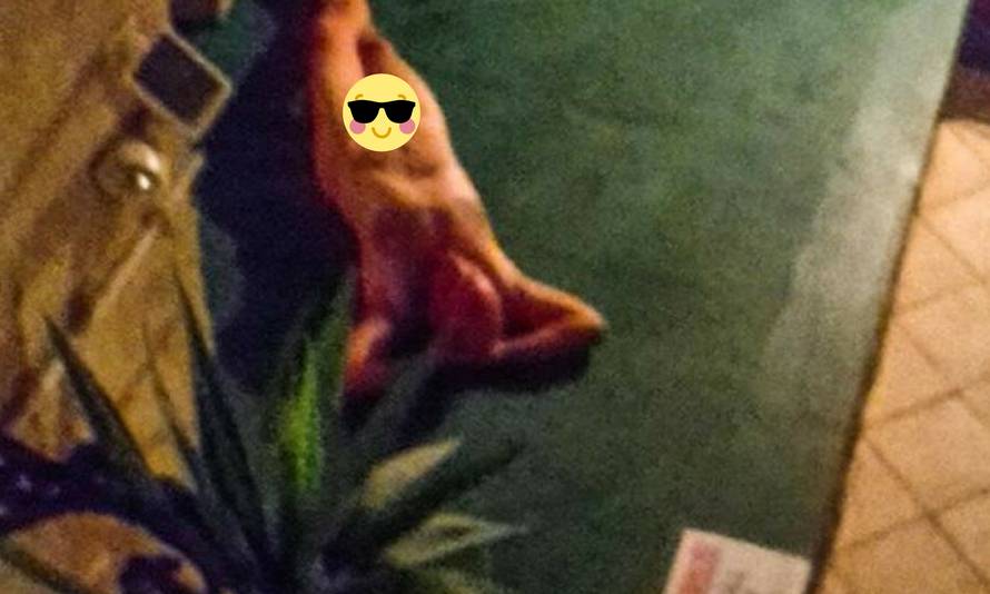 Golać u strogom centru Splita: Malo je popio pa mu bilo vruće