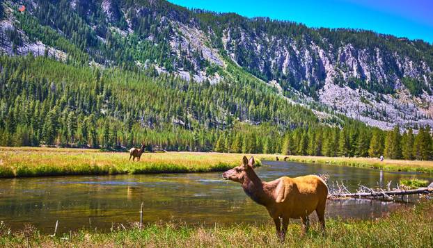 FOTO Ovo je 20 saveznih država SAD-a u kojima je najbolje živjeti: Mnogi će se iznenaditi...