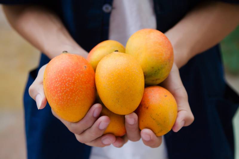 Ovo su namirnice koje sadrže više vitamina C od naranče