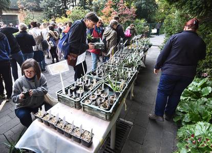 Zagreb: Botanički vrt organizirao je drugu godišnju rasprodaju biljaka