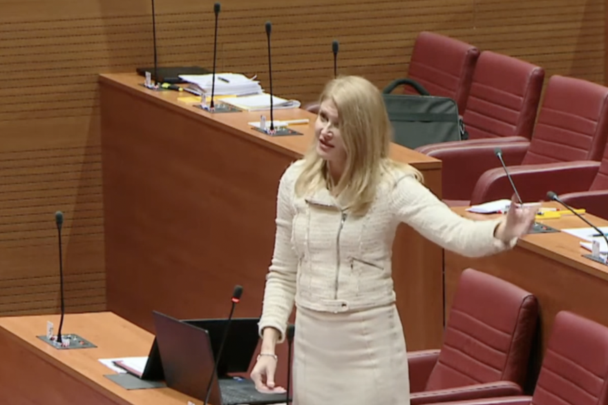 Burno u saboru! HDZ-ovac urlao na SDP-ovku zbog Deklaracije o antifašizmu: 'Šuti i sjedi tamo!'