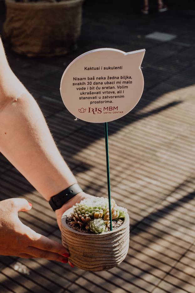 Fuliranje Jungle otvorilo svoja vrata: Uživajte u klopi, glazbi, dobrom pivu i ukusnim vinima