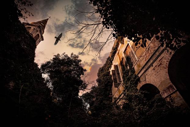 Italy Veneto Venezia Poveglia Island -  One of the most haunted islands in the world