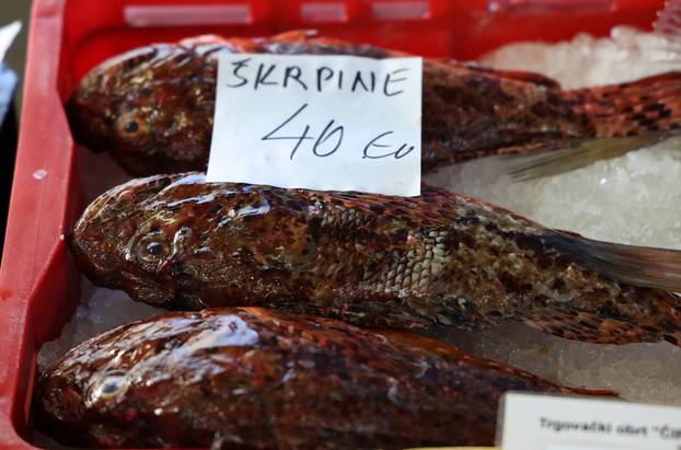 Šibenik: Ponuda na šibenskoj ribarnici