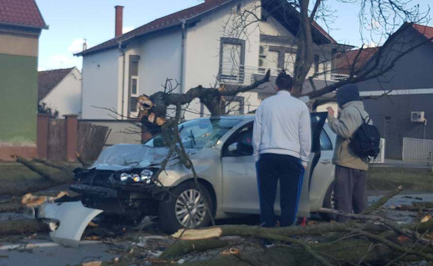 Stablo smrskalo auto u vožnji: Vozačicu spremaju za operaciju