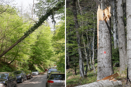 FOTO Sljeme se jo&scaron; uvijek oporavlja od razorne oluje: Evo kako izgleda tri tjedna nakon