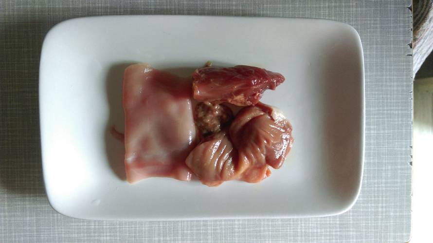 'Sa sirovom hranom mojem mačku nestali su svi problemi'