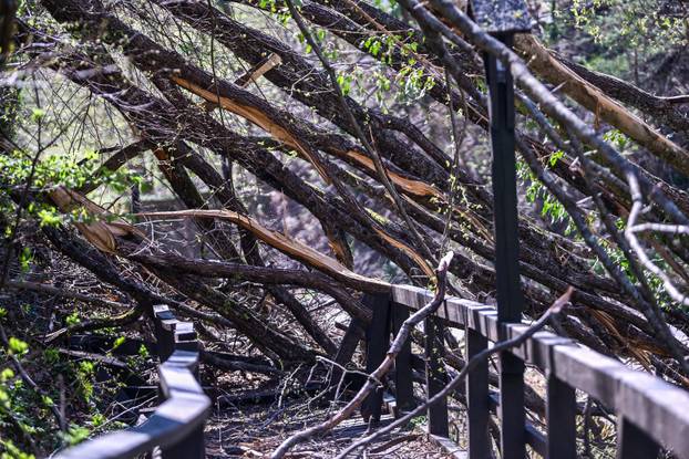 Zagreb: Posljedice olujnog nevremena na Sljemenu