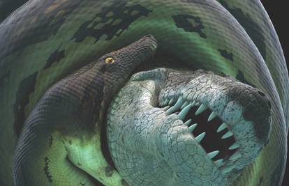 Otkrivena nova vrsta krokodila iz vremena divovskih zmija
