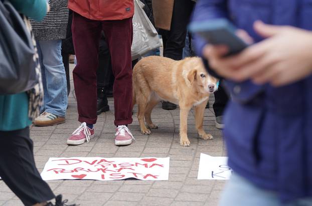 Zagrebački studenti dali podršku studentima iz Srbije 