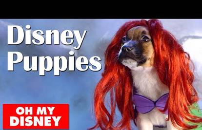 Disneyeva bajka: Psići su postali junaci crtanih filmova