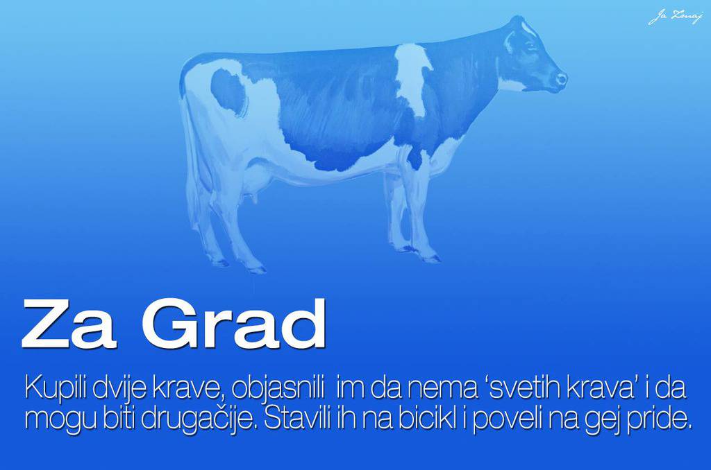 Ja Zmaj