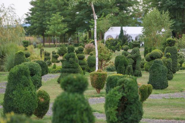 Bajkoviti vrt u srcu Međimurja: Prvi i jedini Topiary park u Hrvatskoj krije se u Sračincu