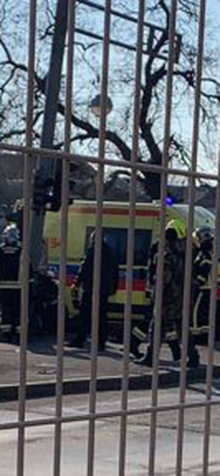 Užas na Aleji Bologne: Auto je smrskan, zabio se u semafor...