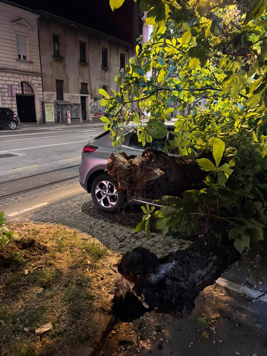 FOTO Ogromno stablo palo na auto i pločnik u Zagrebu!