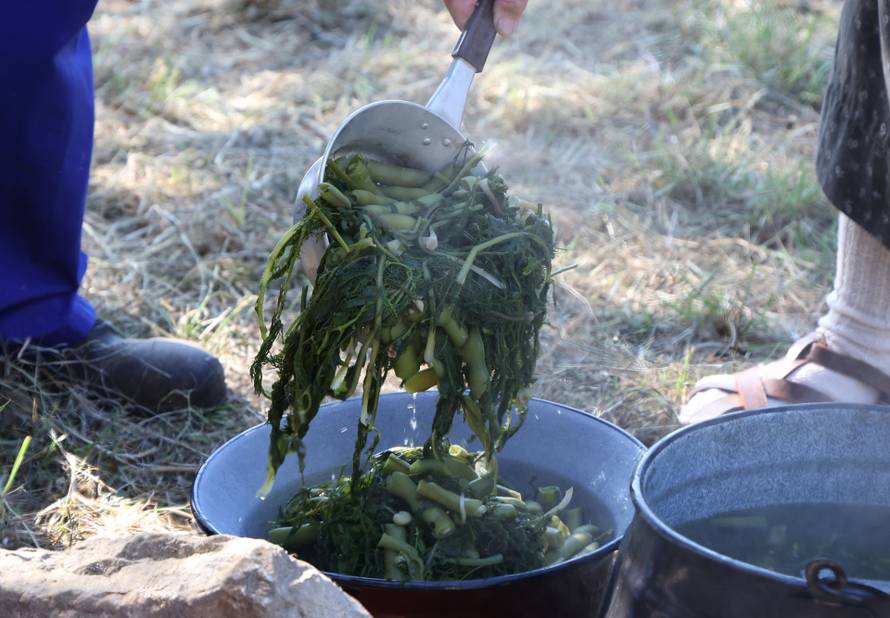 Vodice:Tradicionalni prvosvibanjski piknik u Rakitnici,spremanje divljeg zelja i pulente.